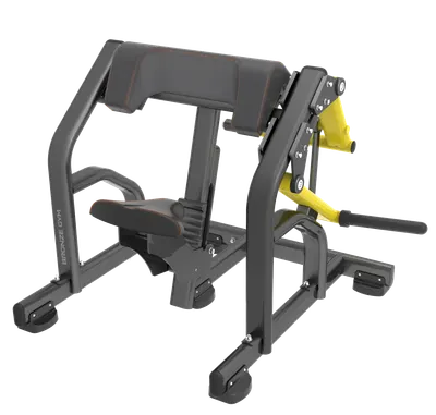 BRONZE GYM PL-1713 Бицепс